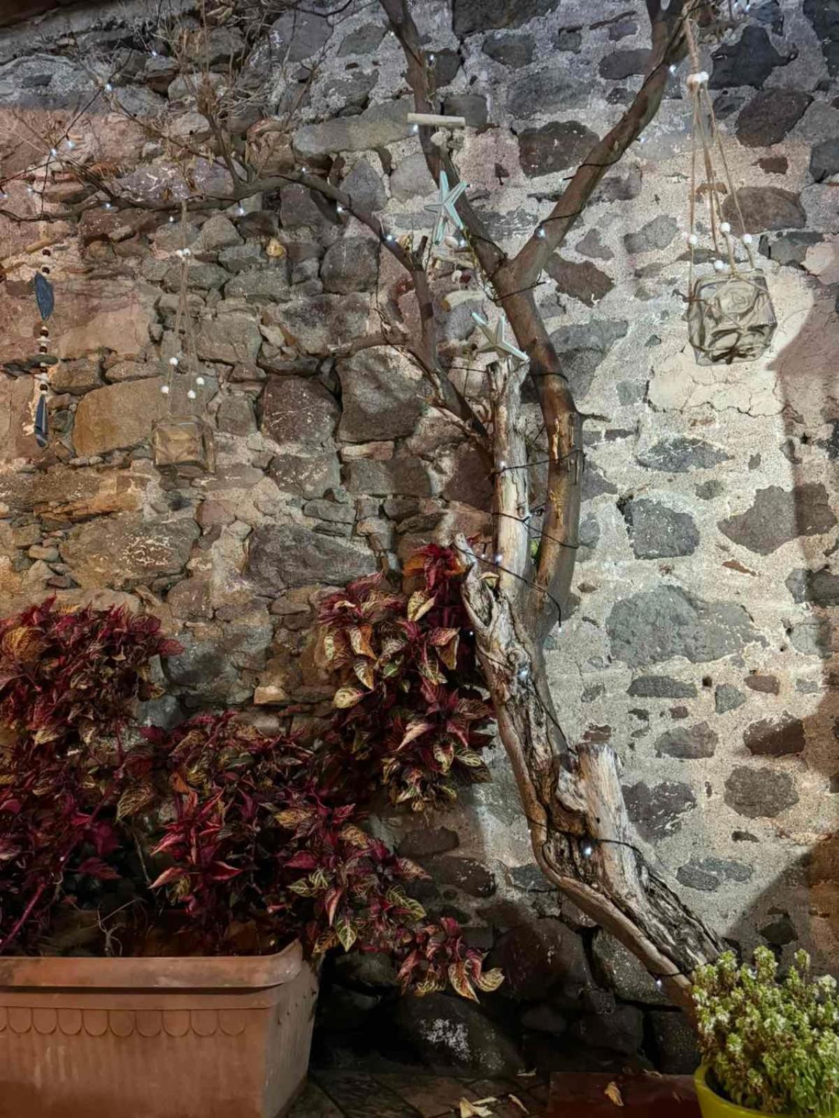 Afroditi'S 1 Ereso Esterno foto